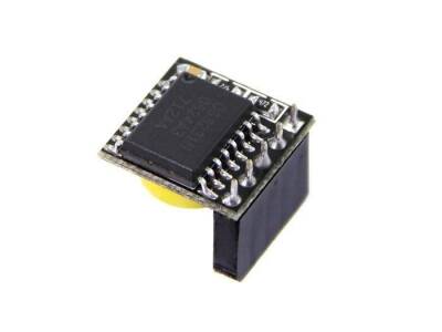 Netrelay ve Raspberry Pi RTC Modülü (Pil Dahil) — görsel 3