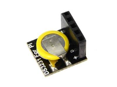 Netrelay ve Raspberry Pi RTC Modülü (Pil Dahil)
